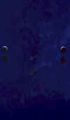 dahlin.jpg (37332 byte)